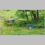 p1010163 [800x600].jpg